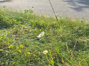 🧘 Jooga Tallinnas: Streching-tund, mis toob kehale kerguse ja meelele rahu