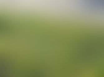 🧘 Jooga Tallinnas: Streching-tund, mis toob kehale kerguse ja meelele rahu