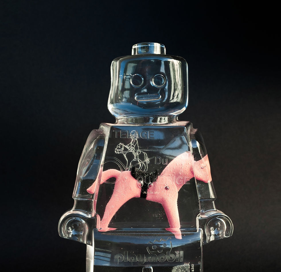 Miniature : Vincent Sabatier - Roboclusion - Quadrige hitch