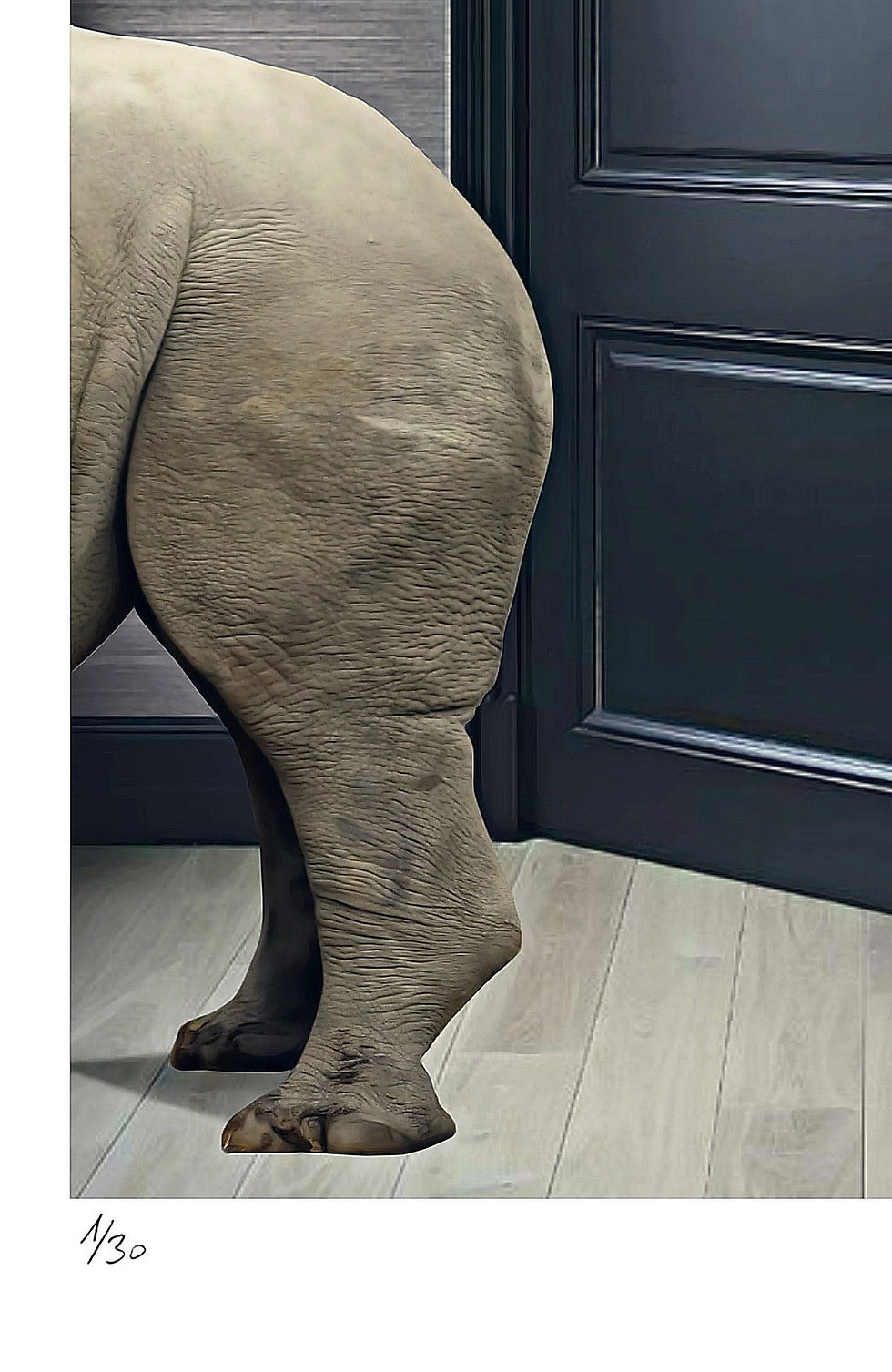 Thumbnail: Mr Strange - Les Rhinocéros