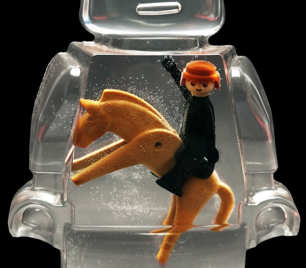 Miniature : Vincent Sabatier - Roboclusion - Horse