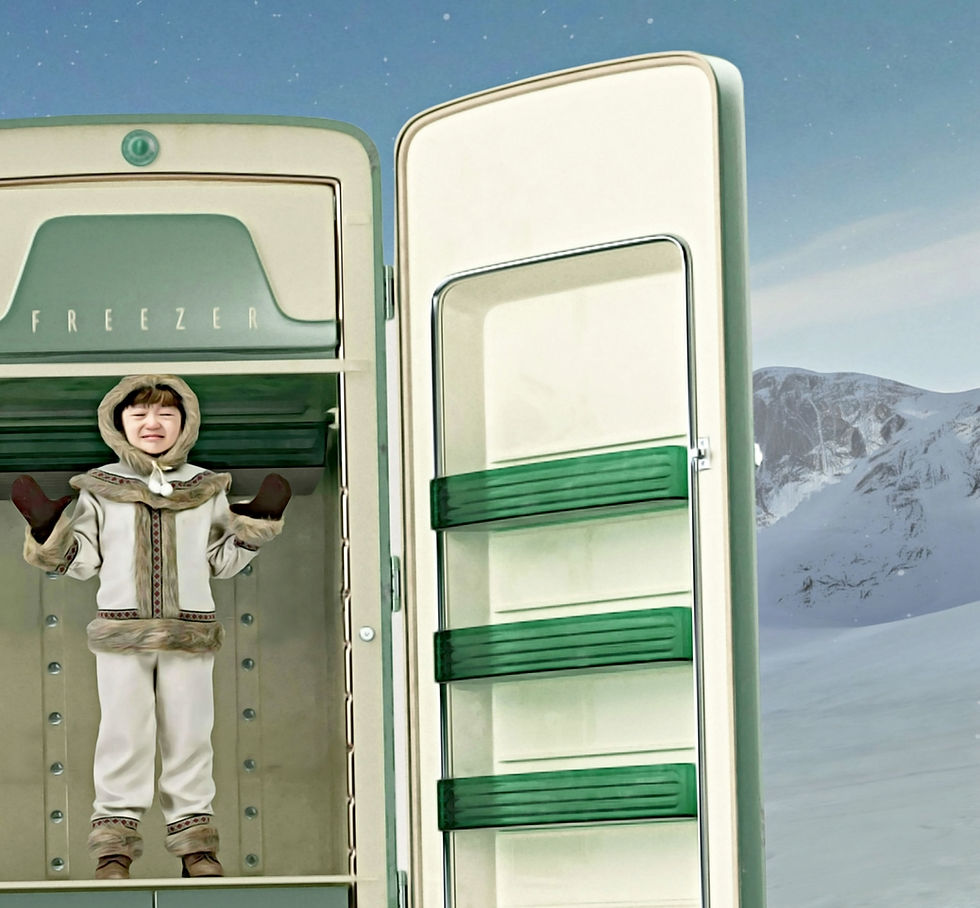 Miniature : Mr Strange - Un Esquimau Dans le Freezer