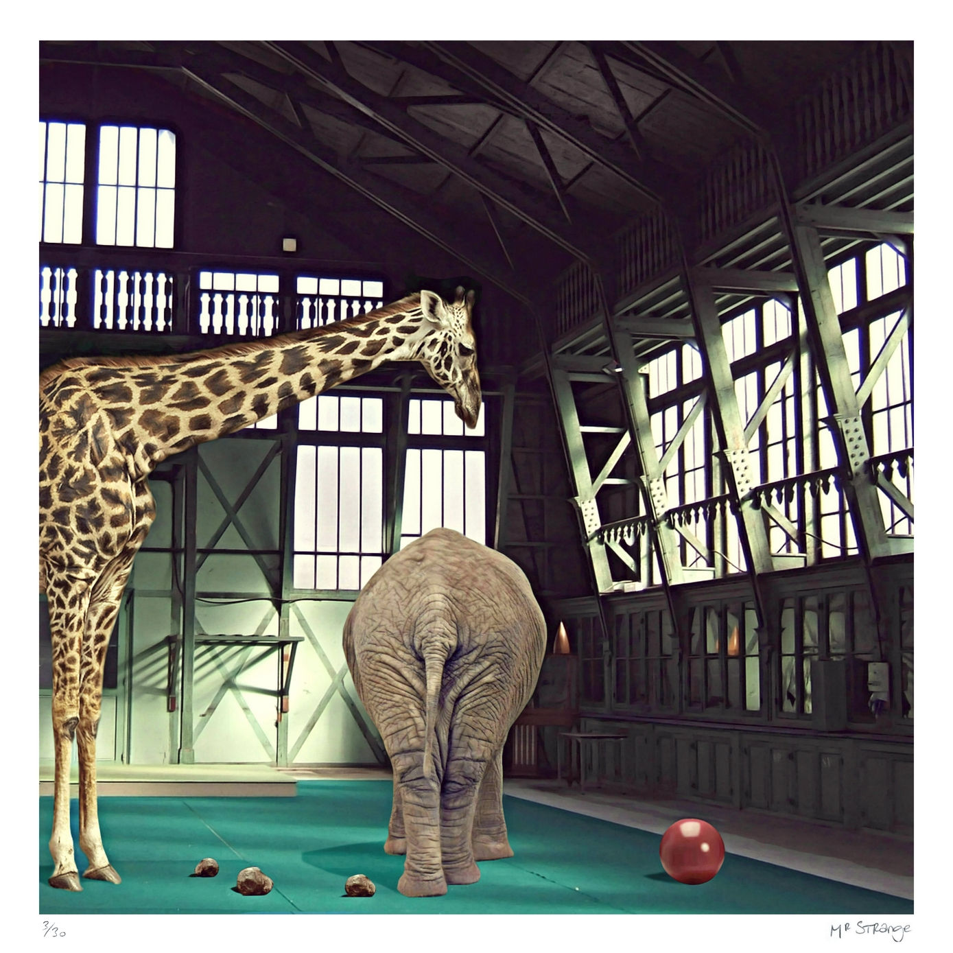 Mr Strange - Cirque en Hivernage