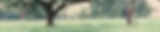 Banner_Kontakt_02.JPG