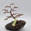 Thumbnail: Handmade Copper Wired Trees