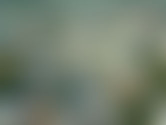 Iranian Restaurants in Los Angeles