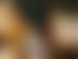 海洋公園星夜高峰Glamping 春天限定截至3月31日！