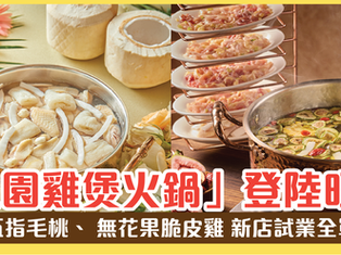 「鳳園雞煲火鍋」矚目登場！首創五指毛桃、無花果脆皮雞 新店試業全單88折