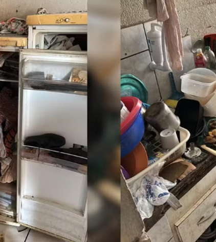 Mairinque: Polícia resgata mais de 40 gatos em apartamento após denúncia de maus-tratos