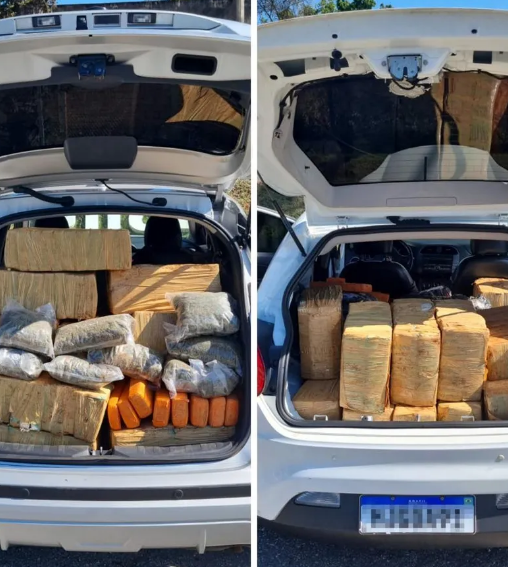 Polícia apreende mais de 1 tonelada de maconha avaliada em R$ 11 milhões na Raposo Tavares