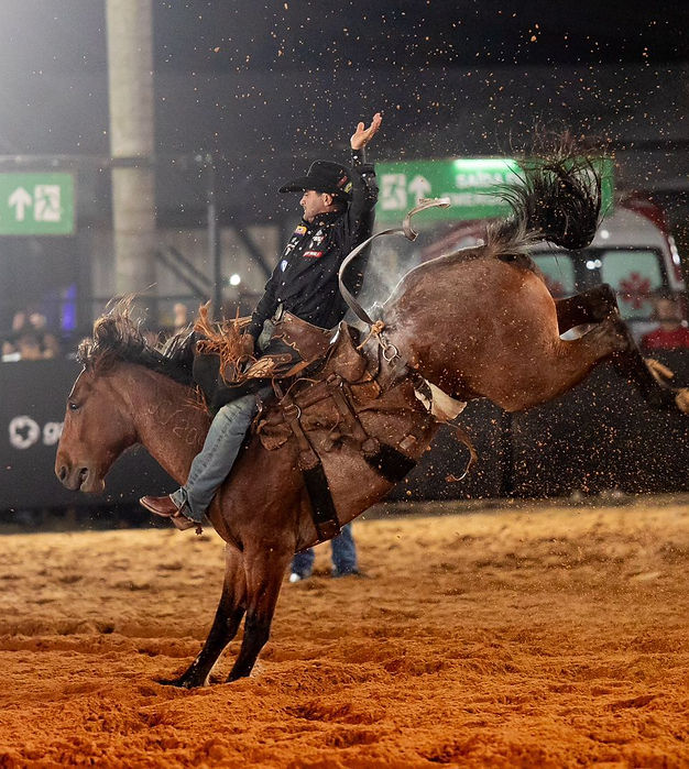 Jaguariúna Rodeo Festival distribui mais de R$ 200 mil em competições de rodeio