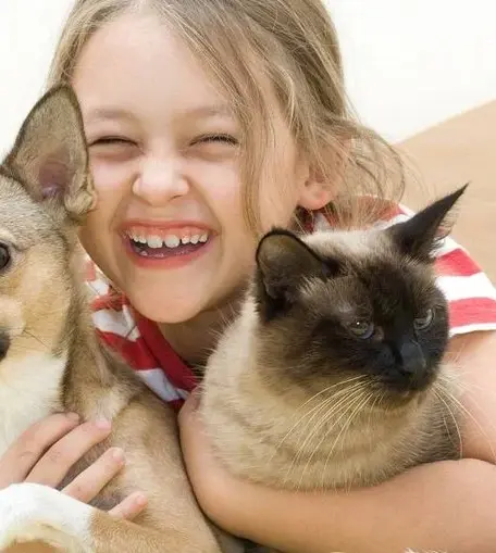 Convívio com animais traz benefícios à saúde física e mental do tutor