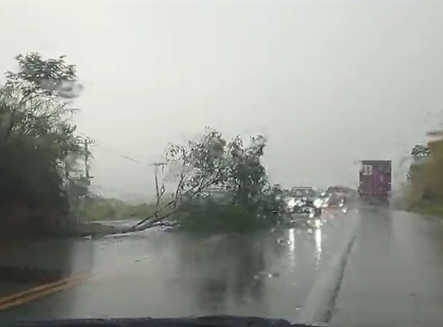Araçariguama: Chuva com vento derrubou árvores no Acesso