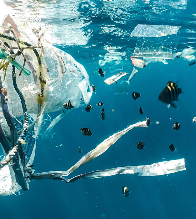 Sustentabilidade será tema do primeiro Uniso Experience de 2023