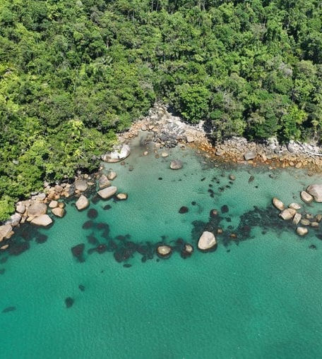 Saco das Taquaras: prainha deserta é paraíso escondido em Ubatuba