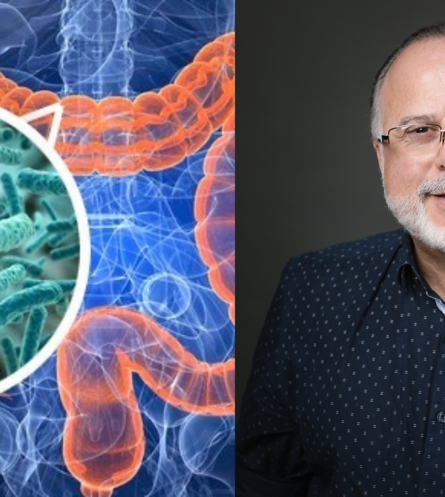 Microbiota intestinal: os impactos da disbiose merecem atenção