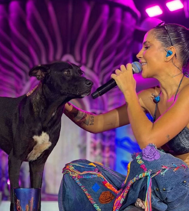 Michele Andrade adota cão após momento emocionante em gravação de “Michele no Sertão das Maravilhas” e encontro viraliza