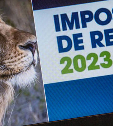 Começa a entrega do Imposto de Renda 2023; veja quem precisa declarar e principais mudanças