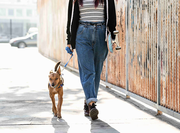 Cães podem motivar tutores a adotarem um estilo de vida mais ativo