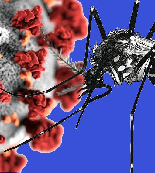 Jardim Brasil lidera números de casos positivos de Dengue e Covid-19 no município