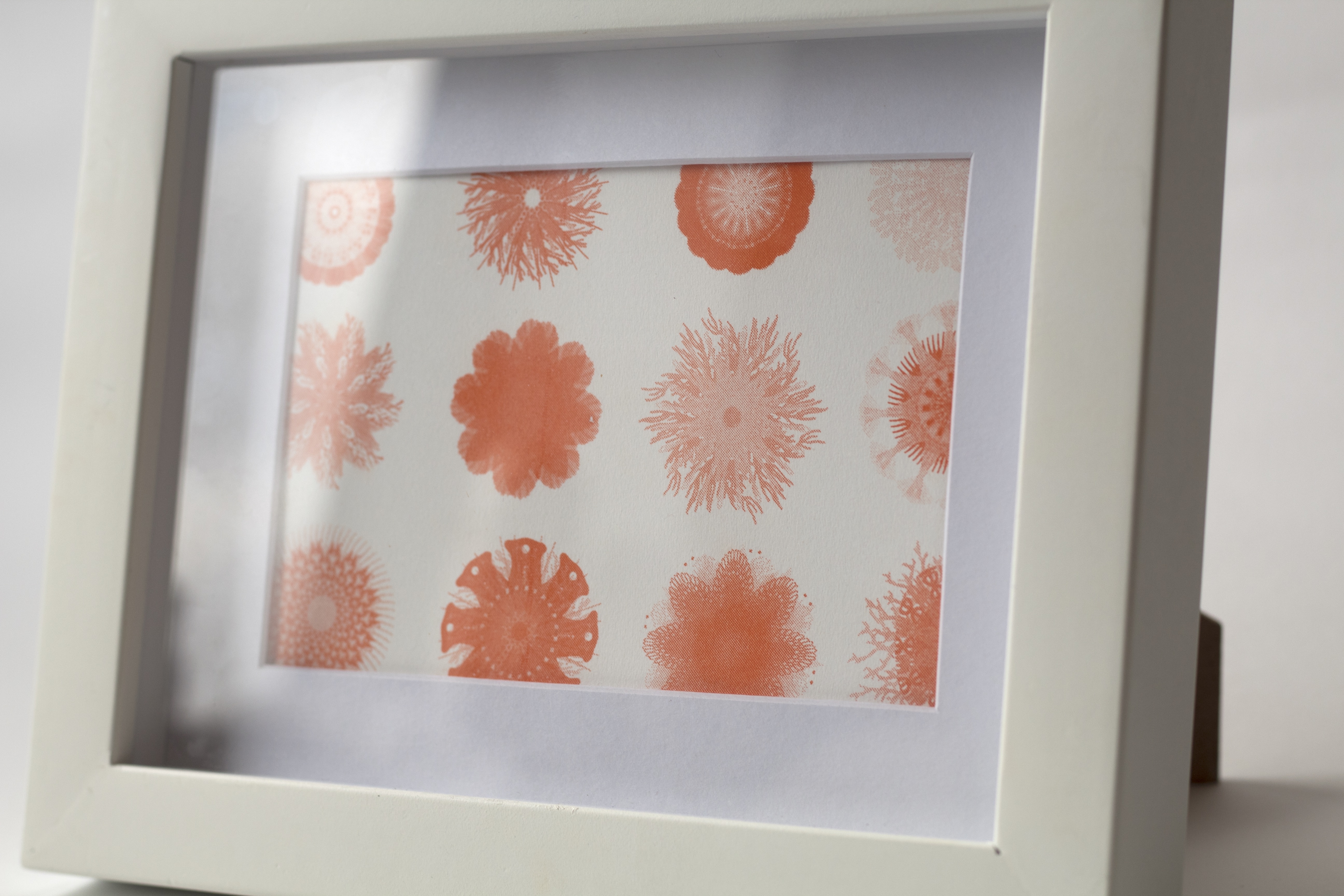 A5 RISO Coral reef - Pattern