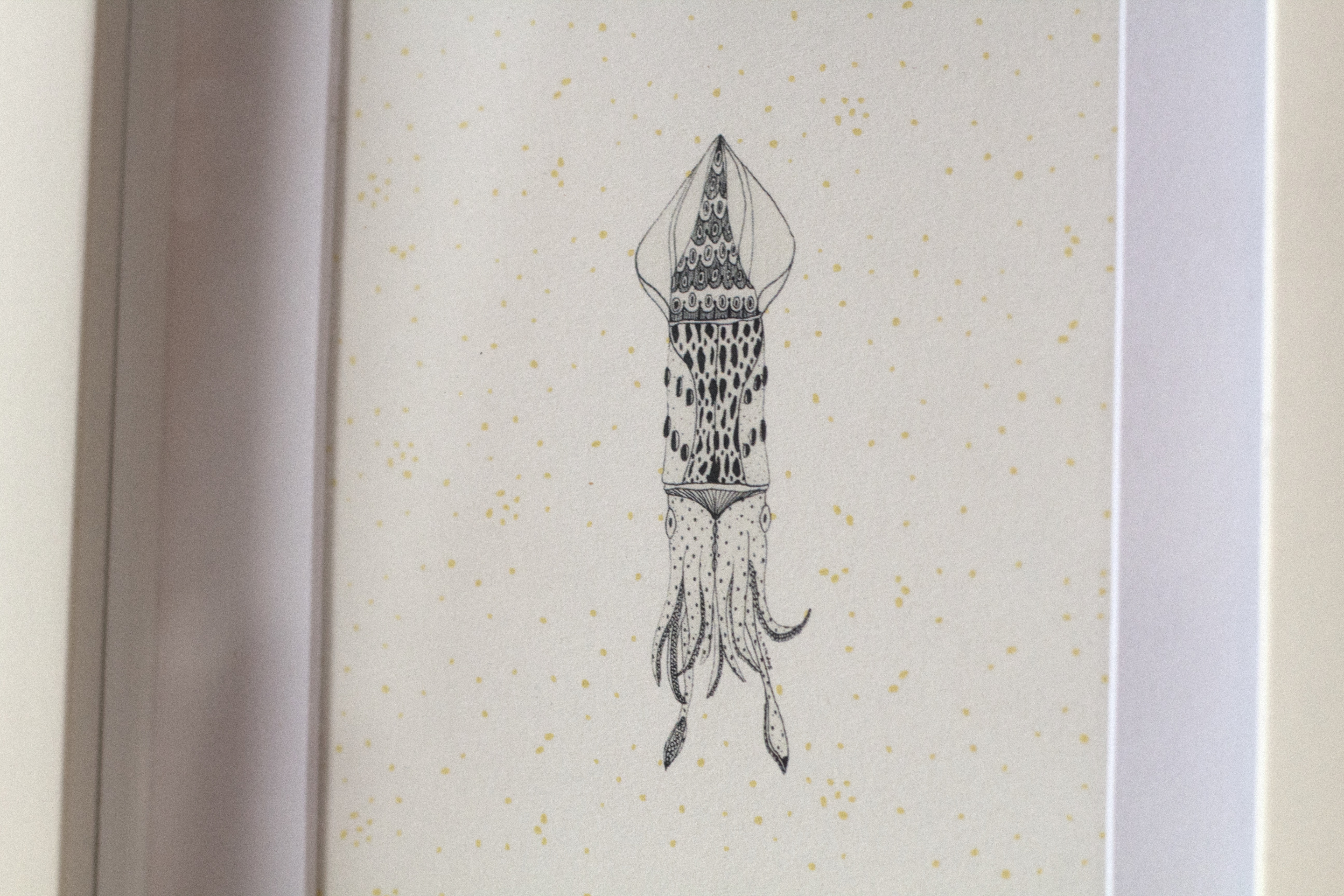 A5 Coral reef - Squid