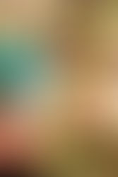 Happy Thanksgiving!!!