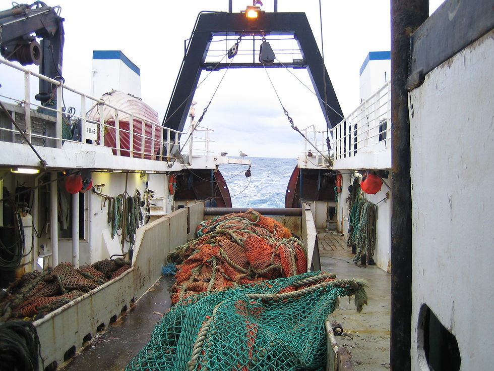 Trawl Survey