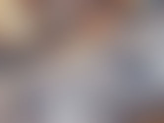 倉儲害蟲防治方案