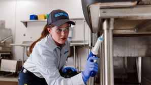 檢查蟲害是否孳生