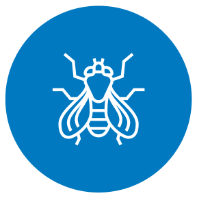 內孳生害蟲防治