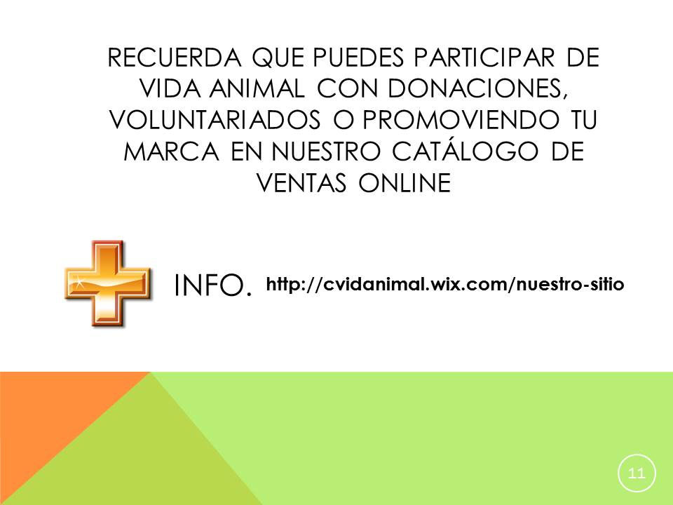 Perros y gatos para adopción