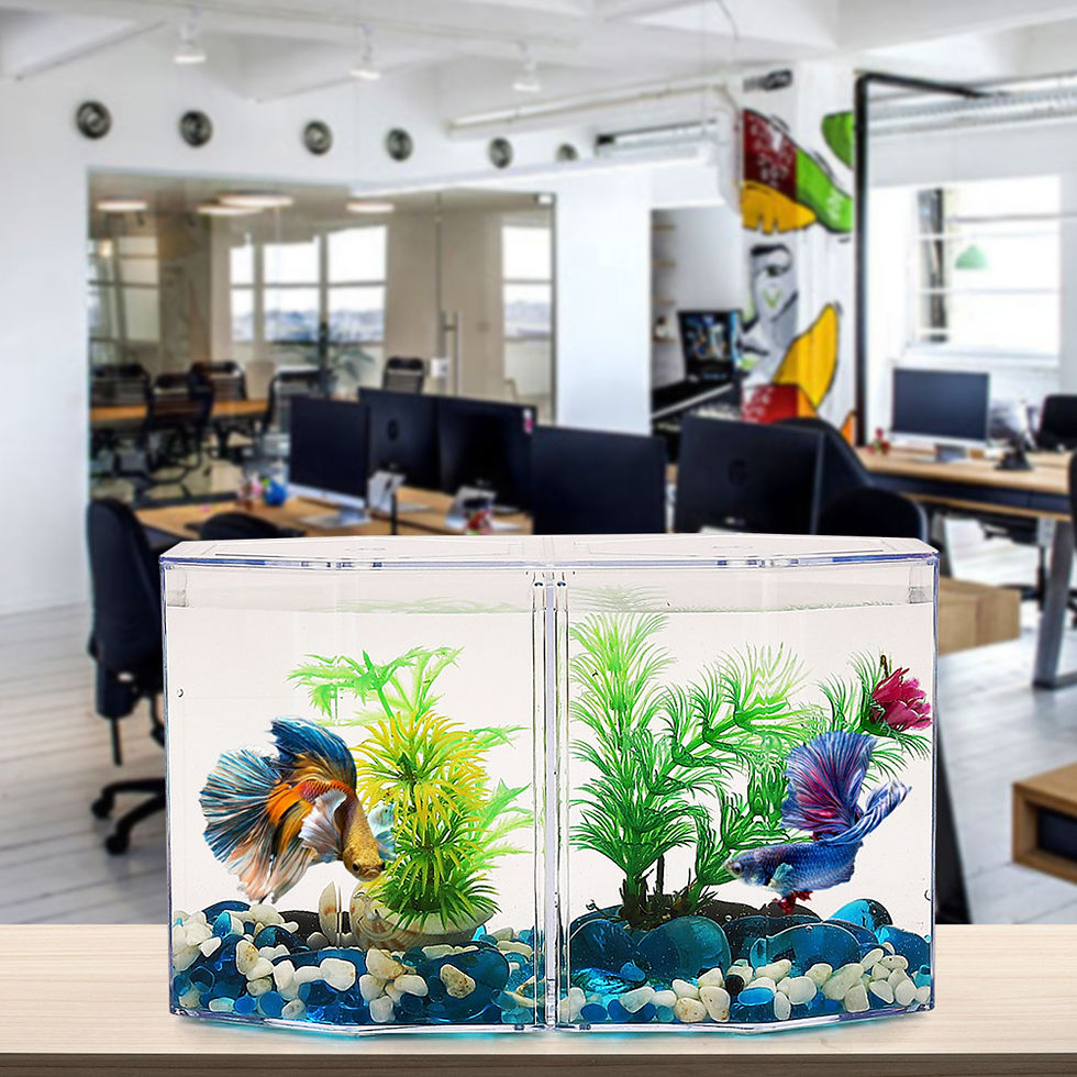 Thumbnail: Acrylic Dual Split Fish Tank