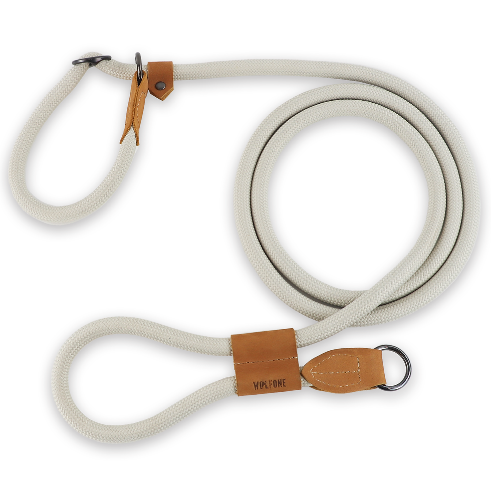 Thumbnail: FlexTrail Hands-Free Dog Leash