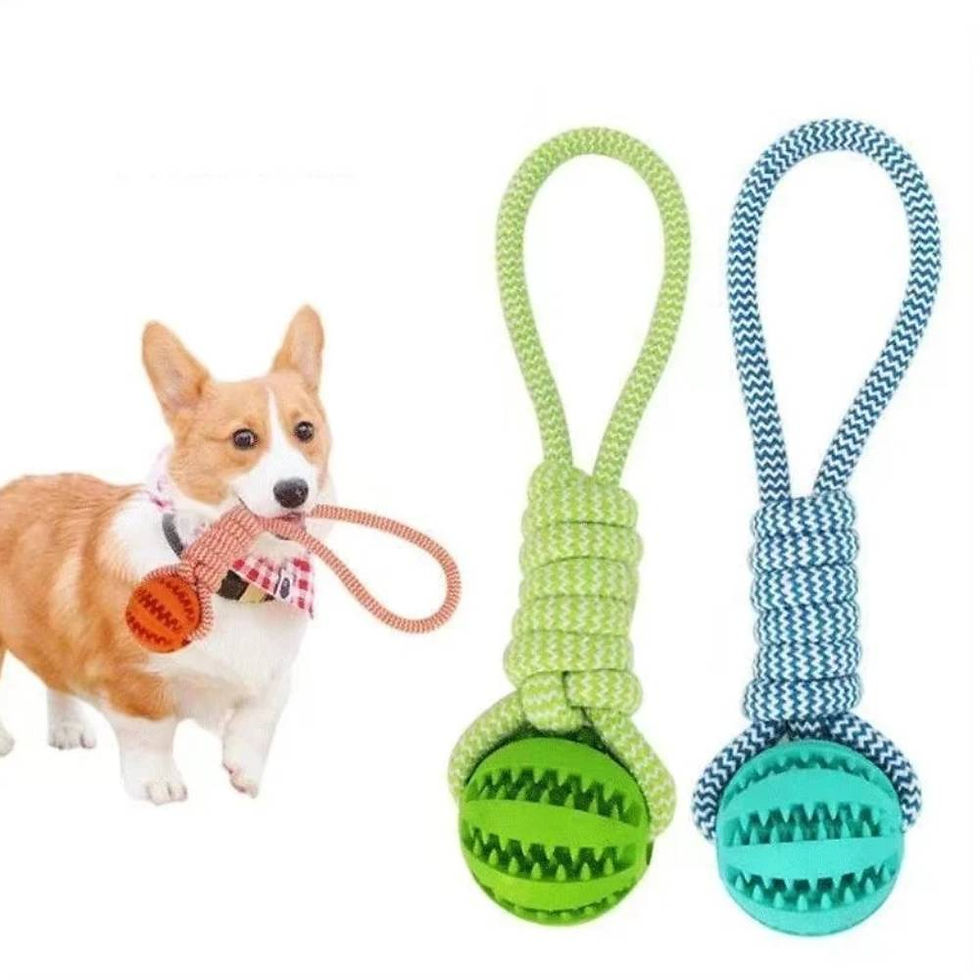 Thumbnail: TreatBounce Rope Ball Toy