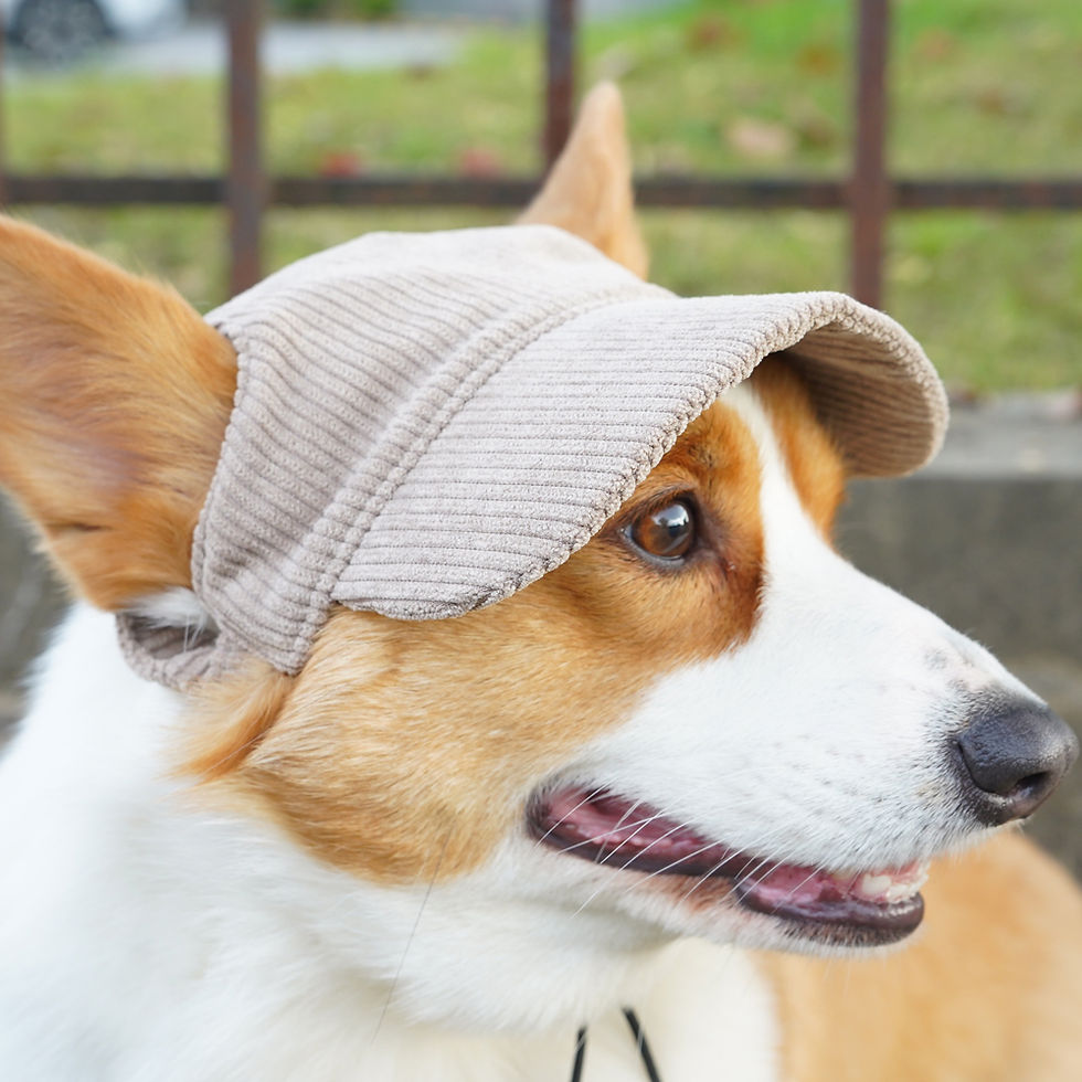 Thumbnail: Corduroy Puppy Cap