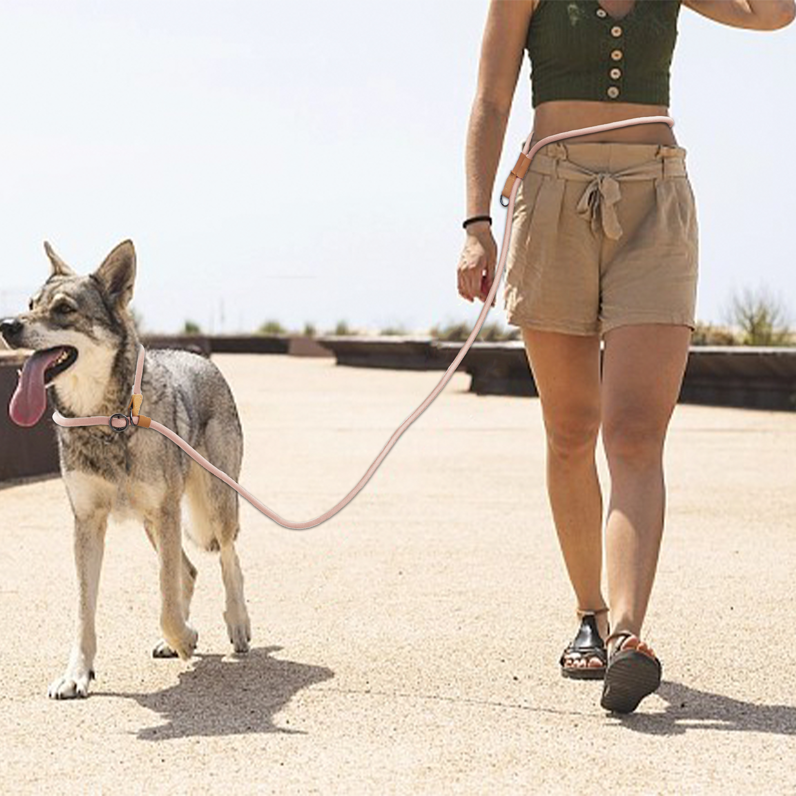 FlexTrail Hands-Free Dog Leash