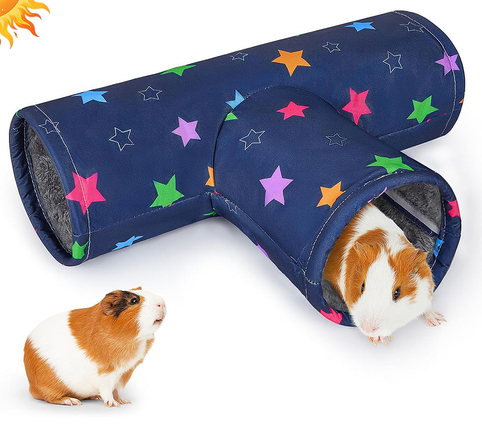 Thumbnail: 3-Way Foldable Pet Tunnel Hideout