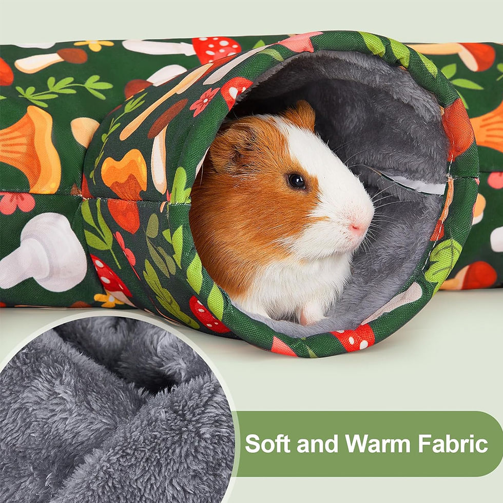 Thumbnail: 3-Way Foldable Pet Tunnel Hideout