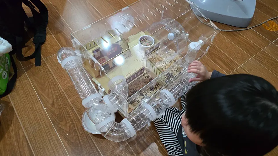 Thumbnail: Large Acrylic Hamster Cage – Transparent Villa Habitat with Exercise Wheel