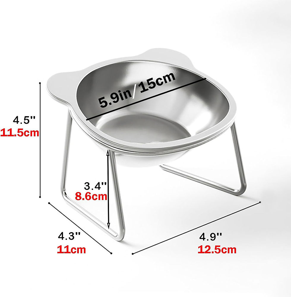 Thumbnail: Tilted Stainless Steel Pet Bowl