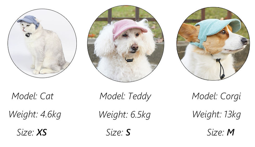 Thumbnail: Corduroy Puppy Cap