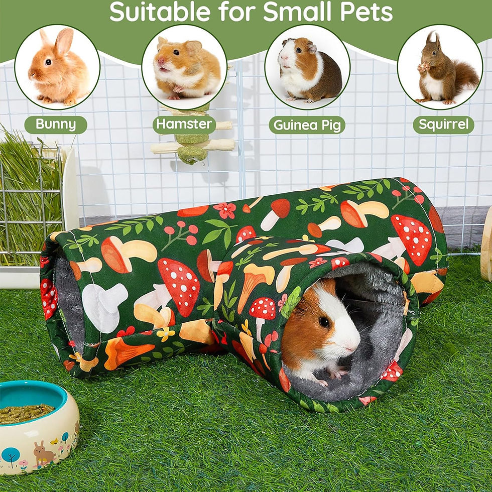 Thumbnail: 3-Way Foldable Pet Tunnel Hideout
