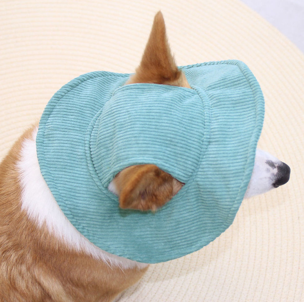 Thumbnail: Corduroy Puppy Cap