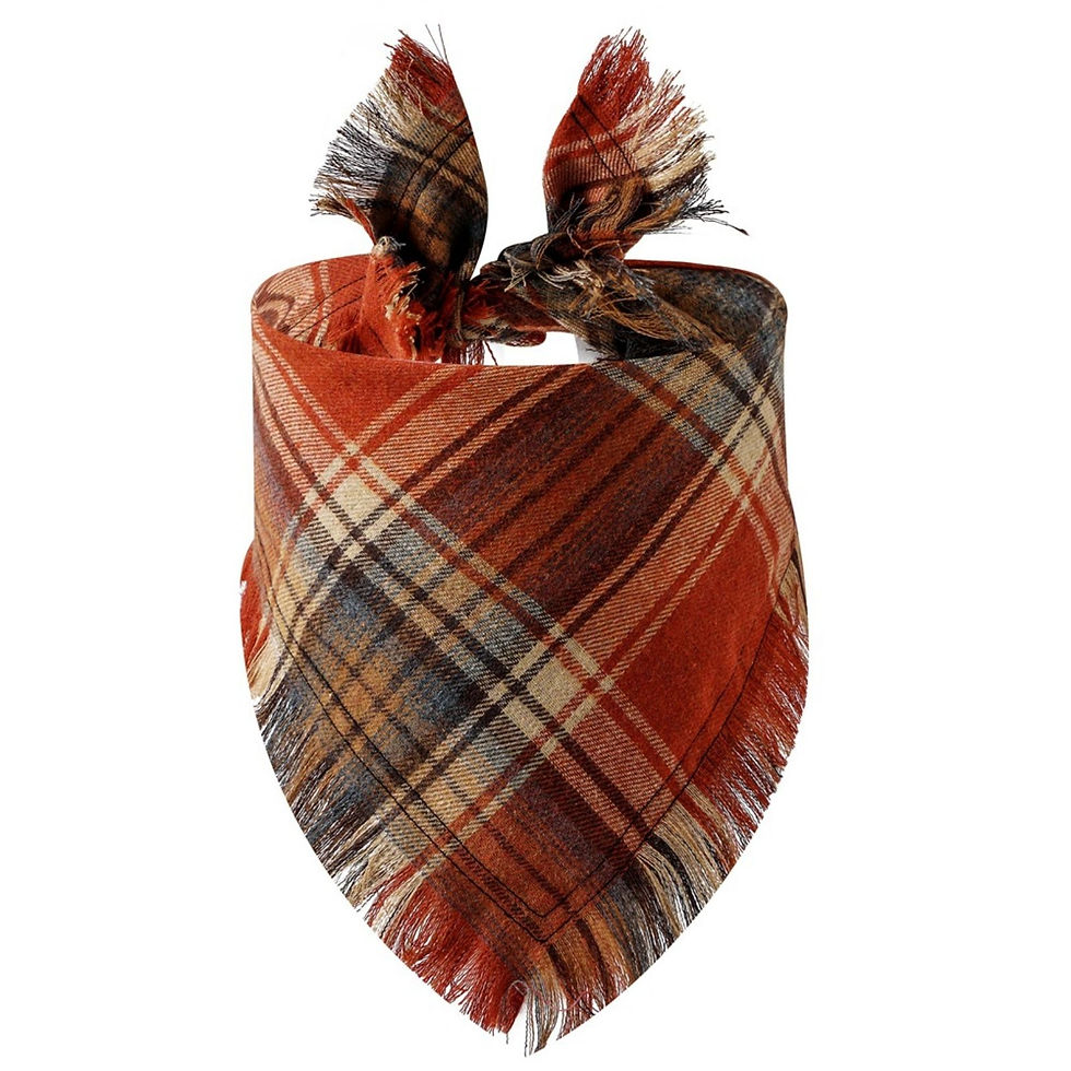 Thumbnail: Autumn Plaid Pet Bandana