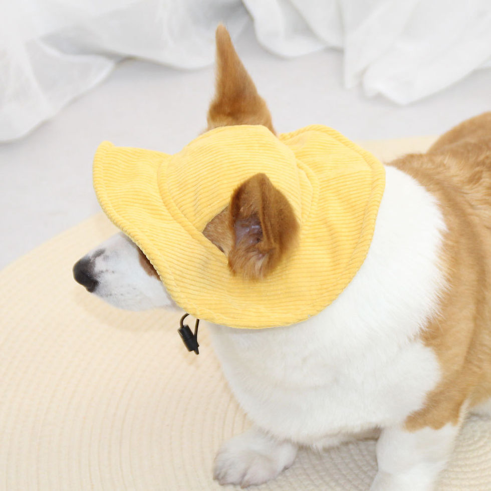 Thumbnail: Corduroy Puppy Cap