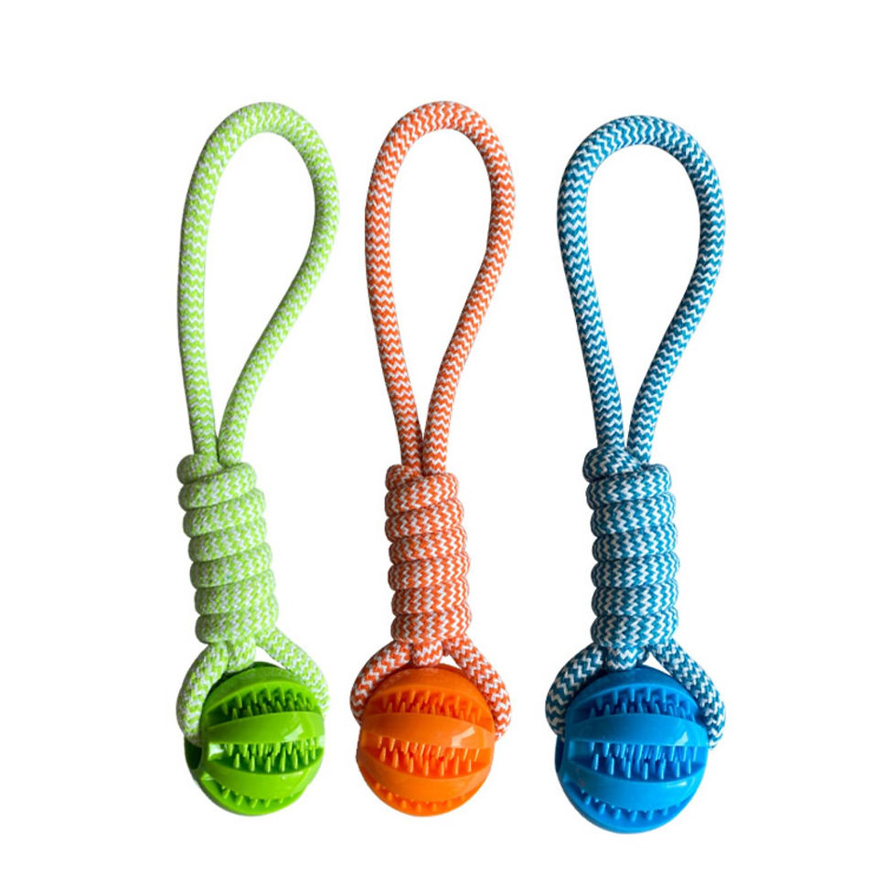 Thumbnail: TreatBounce Rope Ball Toy