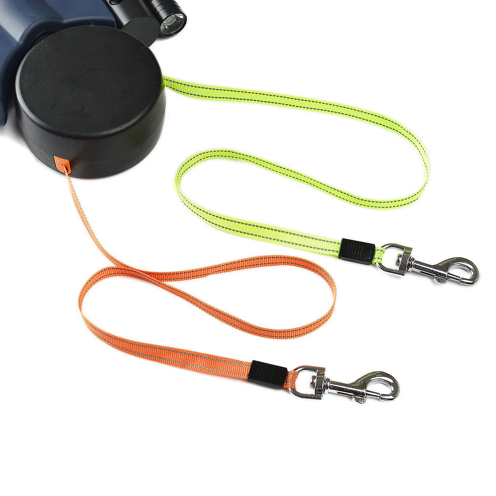 Thumbnail: DuoFlex Retractable Dog Leash