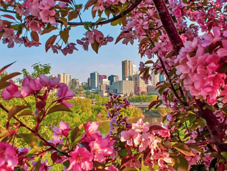 ยฟConoces Edmonton en primavera?