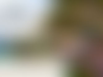 Tree-lined residential street in Falcon Landing, a gated master-planned community in Katy, TX with mature landscaping and single-family homes in Fort Bend County.